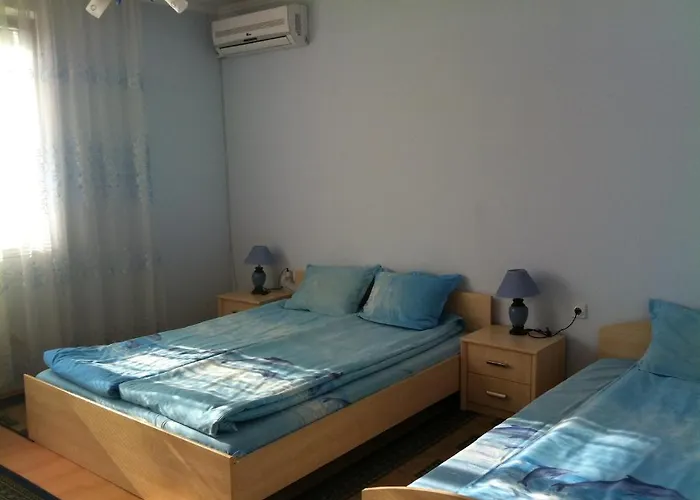 Family Velevi Welingrad